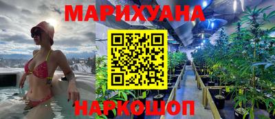 стаф Сланцы